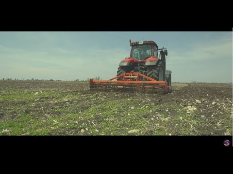 სიმინდის სადემონსტრაციო ნაკვეთი. კარტლისი, როგორც სანდო პარტნიორი კომპანია. 30.04.2020