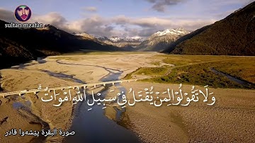 فَاذْكُرُوْنِيْٓ اَذْكُرْكُمْ وَاشْكُرُوْا لِيْ وَلَا تَكْفُرُوْنِ       سورة البقرة پیشەوا قادر