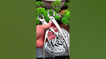 Kìm cạp tròn, cạp xéo làm bonsai (Link mua trong video) #bonsaishop