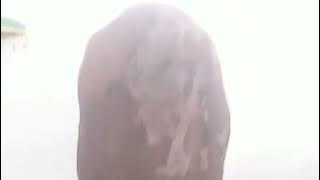 Is it true that Imam Mahdi has the word ALLAH on his body?