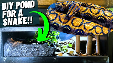 DIY SNAKE ENCLOSURE - Rainbow boa