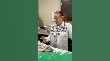 Dr. K explains why fecal samples are so important #catlovers  #veterinary #stantonpethospital