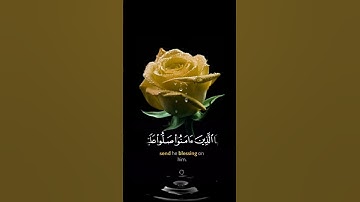 صباح الخير 💛اجمل حالات واتس اب مقاطع قصيره💛 قران كريم ان الله وملائكته يصلون على النبي💛 بدون حقوق