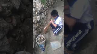 Performance Task: Cleaning Outside the House