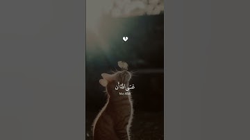 سورة يوسف #قرآن #اكسبلور #سورة_يوسف