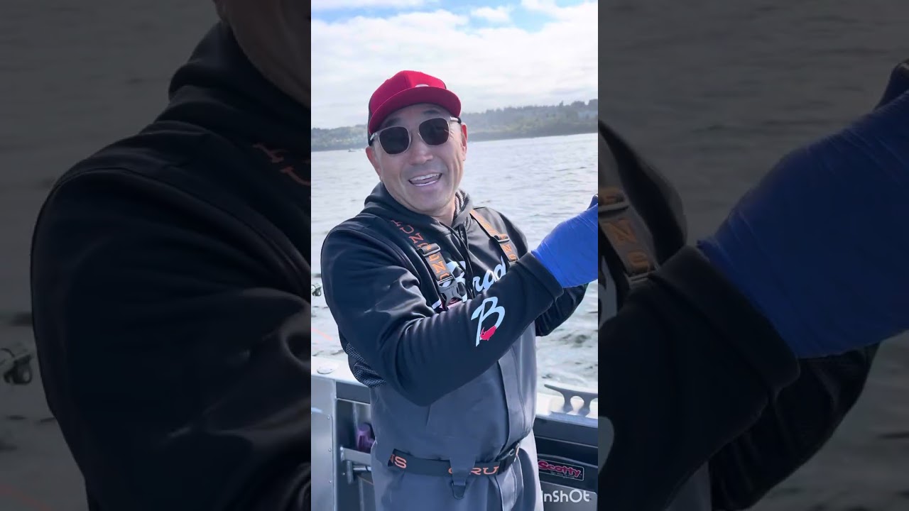 Puget Sound High Impact Coho 🔥 Fishing with Stiffed baits 💥 👊