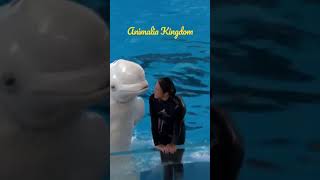 White Dolphin  Beluga Kisses