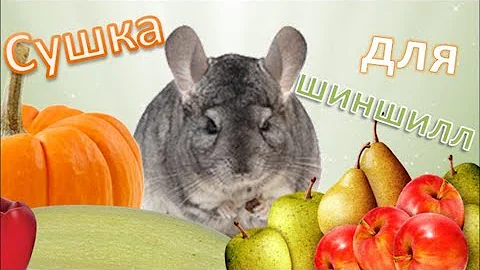 Сушка(сушеные фрукты и овощи) для ШИНШИЛЛ!