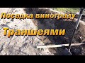 Посадка винограду траншеями