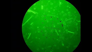 Asbestos Air Sampling Part 6:  NIOSH 7400 microscopy method.