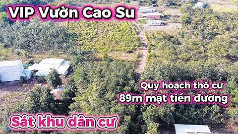 Siêu Phẩm Vườn Cao Su Khu Dân Cư – 89m Mặt Tiền, Quy Hoạch Thổ Cư, View Suối Cực Đẹp!