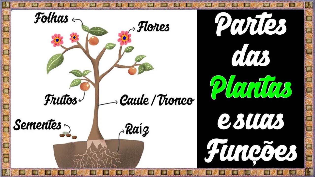 AS PARTES DAS PLANTAS - puzzle online