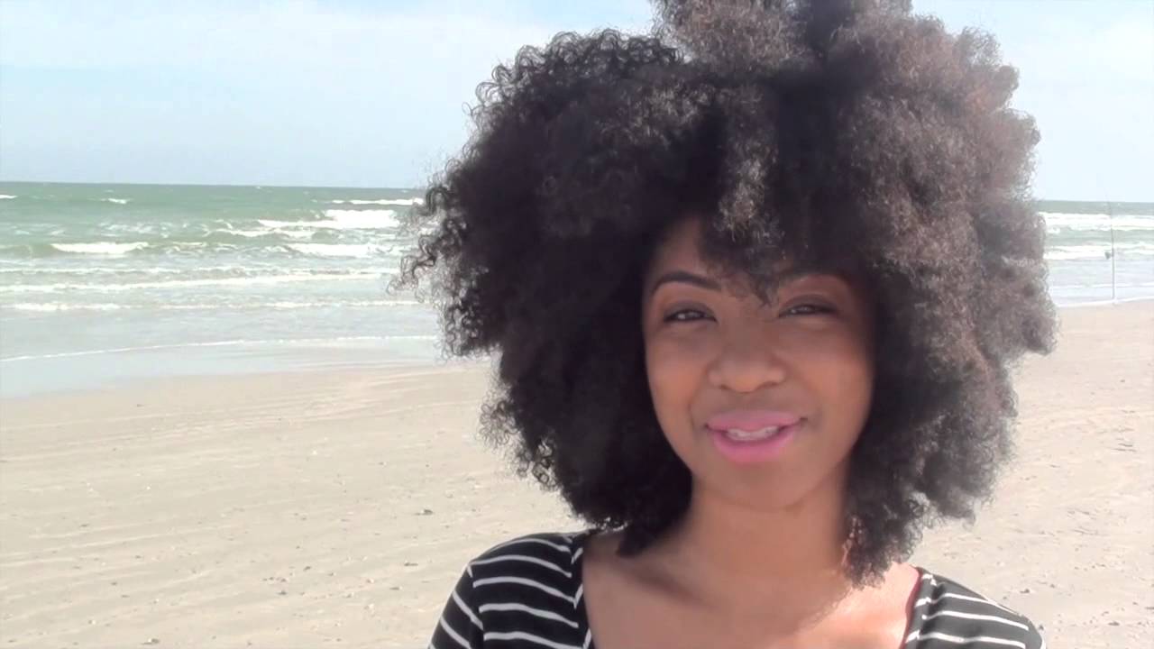 chicago natural resources Happy Holidays 2012!