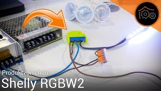 Shelly Rgbw2 - Produktvorschau Prototyp