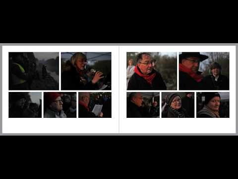 Video 3: Ors