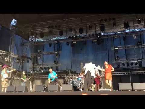 EL DUPA Natalia W Bruklinie Cieszanów 2016