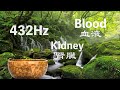 🎶 432Hz &amp; 腎臟 &amp; 血液頻率 🌙 滿月頌缽療癒音樂 Full Moon Tibetan Singing Bowl Music 😴💤  冥想 Meditation 🎶 EP495