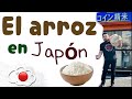 El Arroz en Japón