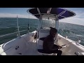 Rockfish and Lingcod on a Windy Day in Santa Cruz