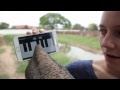 Elephant plays piano on a galaxy note