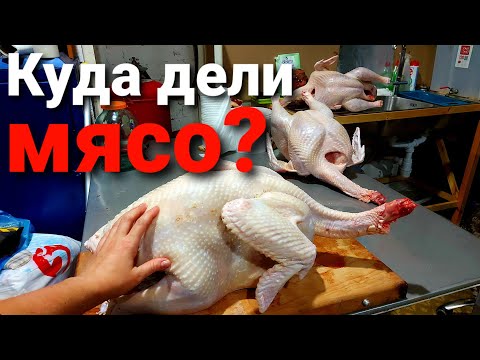 Видео: КАК МЫ ЕЗДИЛИ В МОСКВУ МЯСО ПРОДАВАТЬ.