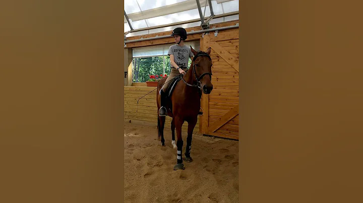 Shelby & Orion