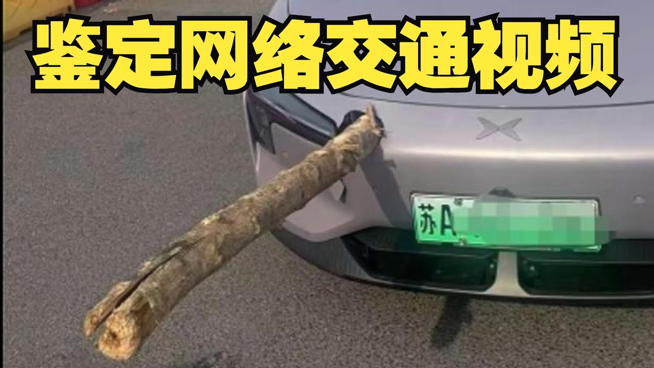鉴定网络交通事故视频