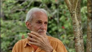 A vida continua, com Angelo Naj Oleari