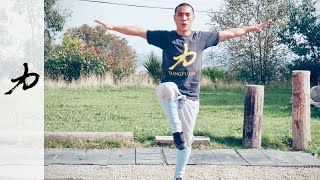 20 Mins Re-Energising Kung Fu Workout -🍀 - Qi Gong Breathing, Yi jin Jing,  Ba Duan Jin & Kung Fu