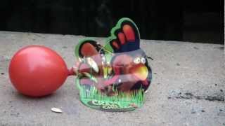 Weco Feuerwerk Crazy Chicken Neuheit 2012 Test