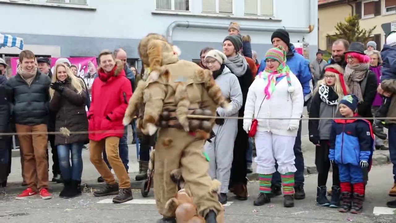 Narrentreffen Gosheim 2018