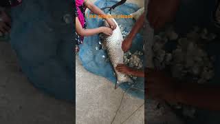 Big size Ruh Fish #fishing #short #shortsvideo