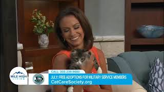 Cat Care Society on Mile High Living: Kitten Day by Cat Care Society 140 views 9 months ago 5 minutes, 42 seconds