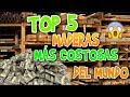 top 5 maderas mas caras del mundo