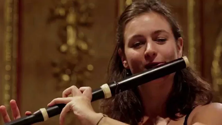 Telemann: Concerto in E minor TWV 52:e1 (Presto) |...