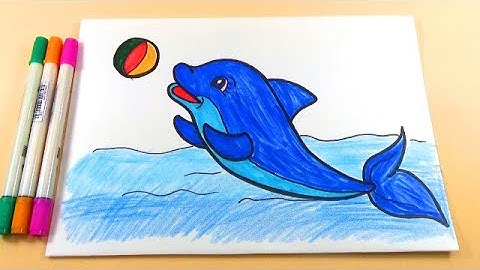 HOW TO DRAW THE DOLPHIN
