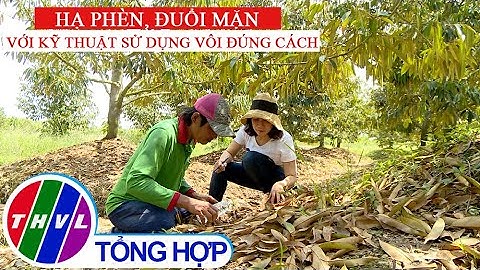 Nông nghiệp bền vững: Hạ phèn, đuổi mặn với kỹ thuật sử dụng vôi đúng cách