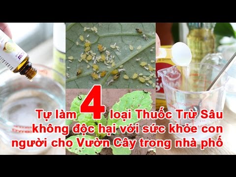 Video: Thuốc trừ sâu vườn trong nhà: Thuốc trừ sâu an toàn thực phẩm cho cây trồng trong nhà