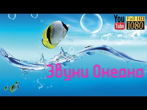Смотреть клип 30 мин 🎵 Гамма Волны 🎵 Лучшая Лаунж Музыка для Релакса 🎵Спокойная Эмбиент Мелодия на Каждый День онлайн бесплатно в качестве Смотреть клип 30 мин 🎵 Гамма Волны 🎵 Лучшая Лаунж Музыка для Релакса 🎵Спокойная Эмбиент Мелодия на Каждый День онлайн бесплатно в качестве