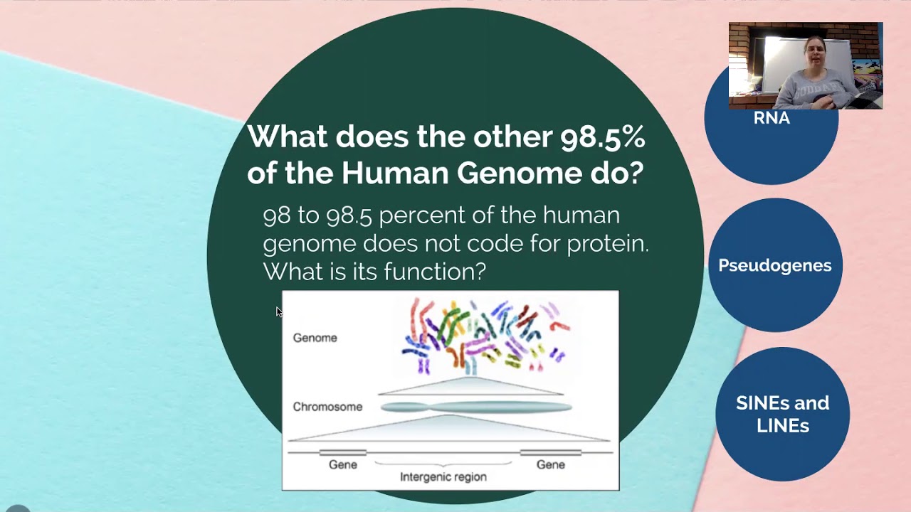 Chapter 10 - Section 3 Notes