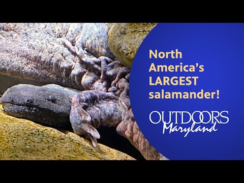 North America’s LARGEST
