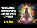 Крайон. Человек может контролировать свою клеточную структуру-ченнелинг