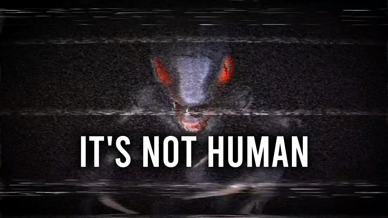 It's Not Human Survival Horror