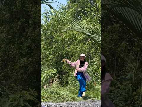 Đem cần câu máy ra sông thiên nhiên #cauca #fishing #vyhanfishing