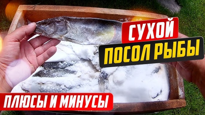 Русская кухня [Николай Иванович Ковалев] (fb2) читать онлайн | КулЛиб электронная библиотека