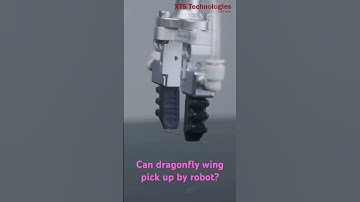 Dragonfly wing #dragonfly #wing #pick #human #finger #soft #gripper #vs #test #handle #complete #fly