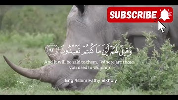 وَلا تُخْزِنِي يَوْمَ يُبْعَثُونَ - تلاوة خاشعة للشيخ ياسر الدوسري 🎧
