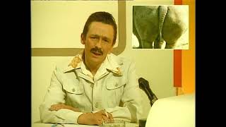 Chanel 9 Neus, Weekend Report - The Fast Show. Remastered Hd