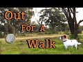 Metal detecting and walking the dogs , Australia