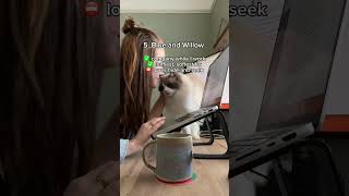 my fav pets as a full-time house sitter 🐾🏡 #housesitting #housesitter